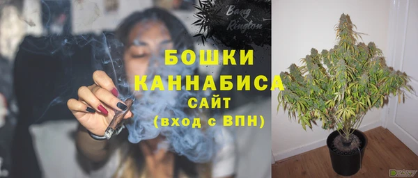 стаф Белоозёрский