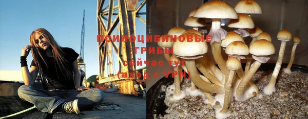 стаф Белоозёрский