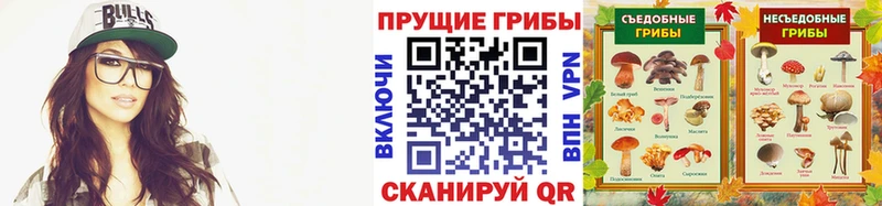 Псилоцибиновые грибы Psilocybine cubensis  купить  цена  Ершов 